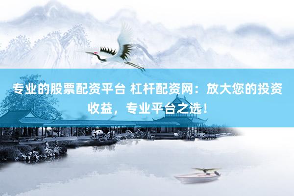专业的股票配资平台 杠杆配资网：放大您的投资收益，专业平台之选！