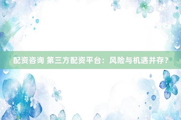 配资咨询 第三方配资平台：风险与机遇并存？