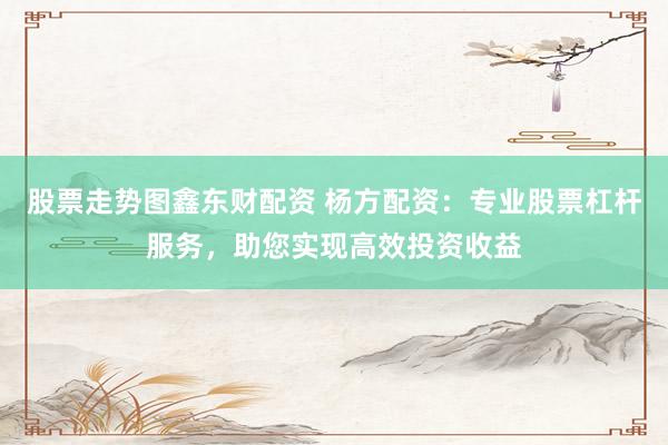 股票走势图鑫东财配资 杨方配资：专业股票杠杆服务，助您实现高效投资收益