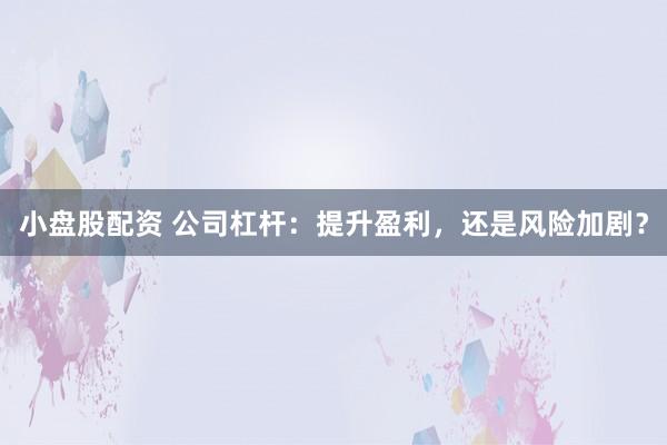 小盘股配资 公司杠杆：提升盈利，还是风险加剧？