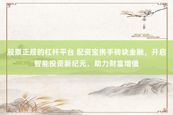股票正规的杠杆平台 配资宝携手砖块金融,开启智能投资新纪元,助力财富增值