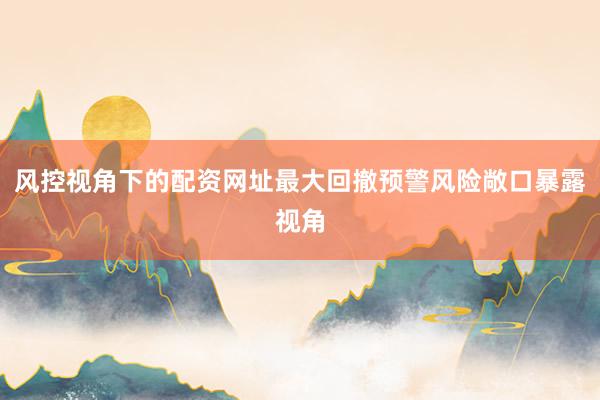 风控视角下的配资网址最大回撤预警风险敞口暴露视角