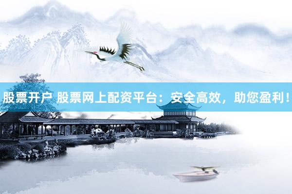 股票开户 股票网上配资平台：安全高效，助您盈利！