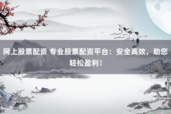 网上股票配资 专业股票配资平台：安全高效，助您轻松盈利！