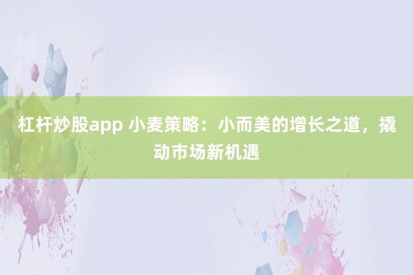 杠杆炒股app 小麦策略：小而美的增长之道，撬动市场新机遇