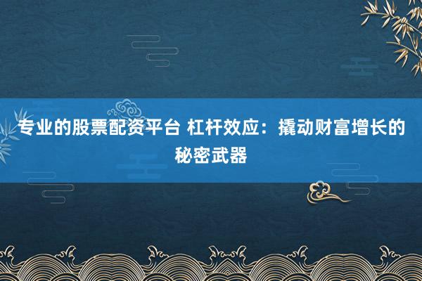 专业的股票配资平台 杠杆效应：撬动财富增长的秘密武器